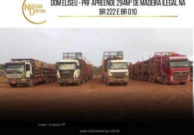 Em fiscalização na BR 222, no município de Dom Eliseu, Estado do Pará, a Polícia Rodoviária Federal apreendeu madeira ilegal em quatro situações, totalizando 294 metros cúbicos.