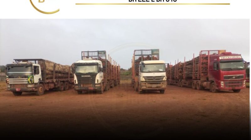 Em fiscalização na BR 222, no município de Dom Eliseu, Estado do Pará, a Polícia Rodoviária Federal apreendeu madeira ilegal em quatro situações, totalizando 294 metros cúbicos.