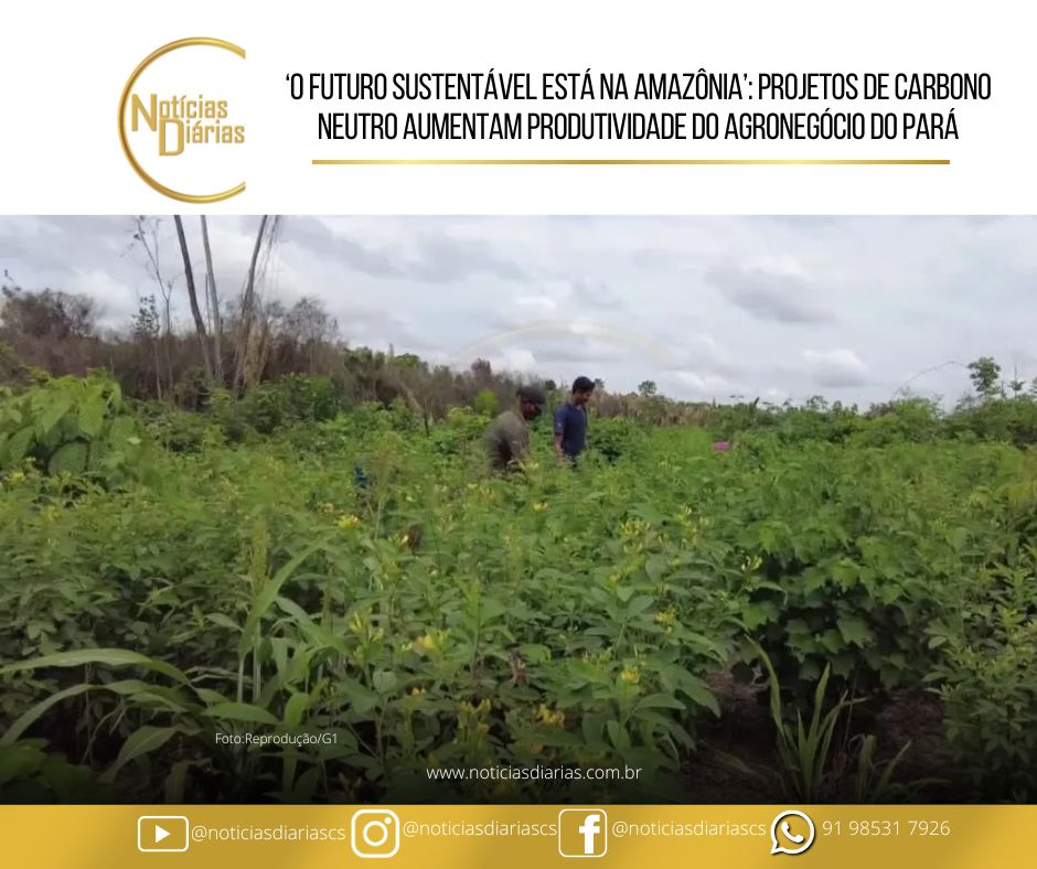 Destaque na COP 28, em Dubai, as conquistas de Paragominas, cidade de pouco mais de 100 mil habitantes localizada no sudeste do Pará, distante 300 quilômetros de Belém, ilustram uma mudança de matriz econômica e de realidade ambiental.