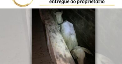 A 13ª Seccional Urbana de Polícia Civil de Paragominas recebeu a denúncia de que 24 cabeças de gado haviam sido furtadas de uma propriedade rural do município.