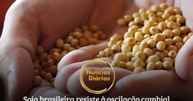 Nas principais praças gaúchas, os valores permaneceram entre R$ 121,00 e R$ 122,00 por saco. Em outras regiões do país, o preço da soja oscilou entre R$ 116,00 e R$ 123,00 por saco.