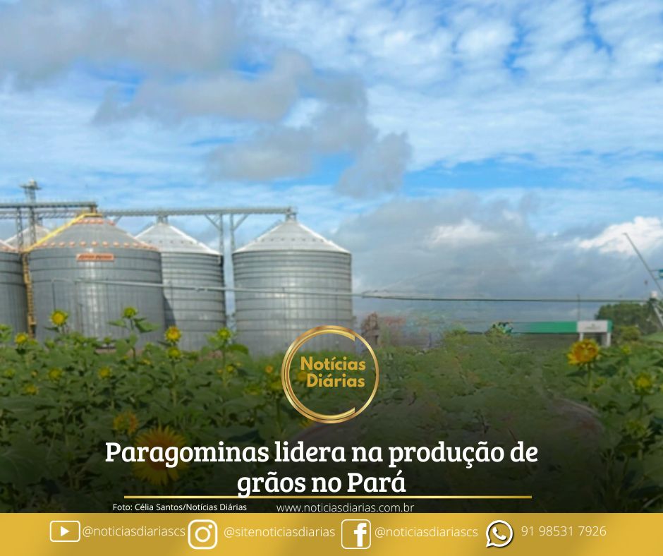 Paragominas destaca-se no Estado do Pará por sua extensa área plantada, em um polo agrícola de mais de 600 mil hectares.