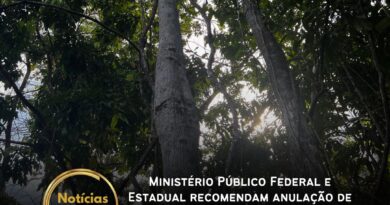 O Ministério Público Federal (MPF) e o Ministério Público do Estado do Pará (MPPA) recomendaram, em 15 de abril, que o governo do Pará e a Companhia de Ativos Ambientais e Participações do Pará (CAAPP) anulem imediatamente o contrato internacional firmado com a coalizão LEAF, envolvendo quase R$ 1 bilhão em créditos de carbono. O motivo central é a violação da Lei Federal nº 15.042/2024, que proíbe a venda antecipada de créditos referentes a emissões futuras de gases de efeito estufa.