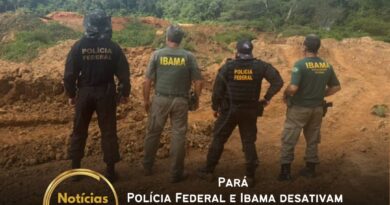 A Polícia Federal, em parceria com o Ibama, deflagrou a terceira fase da Operação Novo Eldorado no município de Curionópolis, sudeste do Pará. A ação resultou no cumprimento de cinco mandados de busca e apreensão, além do bloqueio judicial de R$ 2 milhões nas contas dos investigados.