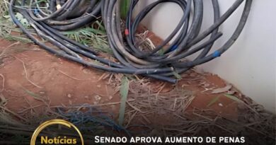 O Senado aprovou o projeto de lei que prevê o endurecimento das penas para crimes relacionados ao furto, roubo e receptação de fios, cabos e equipamentos de telefonia ou transmissão de energia elétrica. A proposta, de origem na Câmara dos Deputados, altera o Código Penal e a Lei Geral das Telecomunicações. Como foi modificada pelos senadores, a matéria retorna agora para nova análise dos deputados.