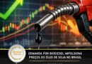 Demanda por biodiesel impulsiona preços do óleo de soja no Brasil