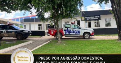 Preso por agressão doméstica, homem desacata policiais e causa alagamento em delegacia