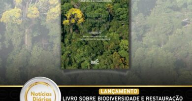 Livro sobre biodiversidade e restauração florestal em Paragominas será lançado durante Semana do Meio Ambiente