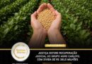 Paragominas (PA): Justiça defere recuperação judicial do Grupo Agro Carloto, com dívida de R$ 361,5 milhões