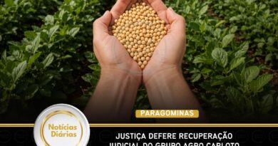 Paragominas (PA): Justiça defere recuperação judicial do Grupo Agro Carloto, com dívida de R$ 361,5 milhões