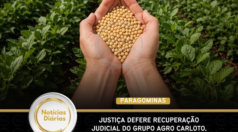 Paragominas (PA): Justiça defere recuperação judicial do Grupo Agro Carloto, com dívida de R$ 361,5 milhões