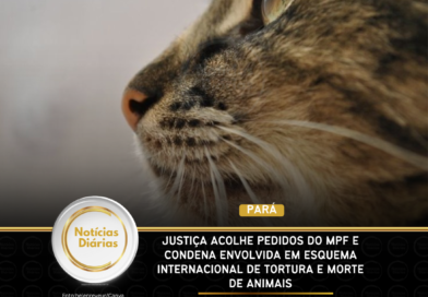 Pará – Justiça acolhe pedidos do MPF e condena envolvida em esquema internacional de tortura e morte de animais