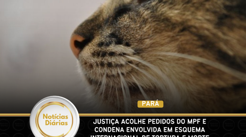 Pará – Justiça acolhe pedidos do MPF e condena envolvida em esquema internacional de tortura e morte de animais