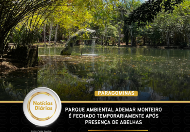 Parque Ambiental Ademar Monteiro é fechado temporariamente após presença de abelhas Parque Ambiental Ademar Monteiro é fechado temporariamente após presença de abelhas