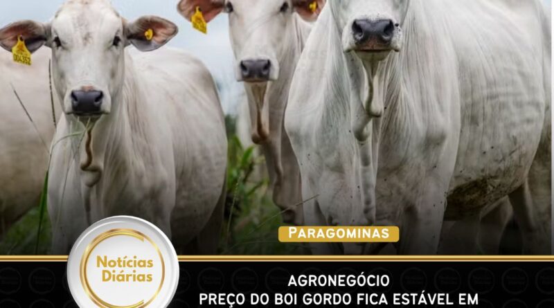 Agronegócio – Preço do boi gordo fica estável em quase todo o Brasil